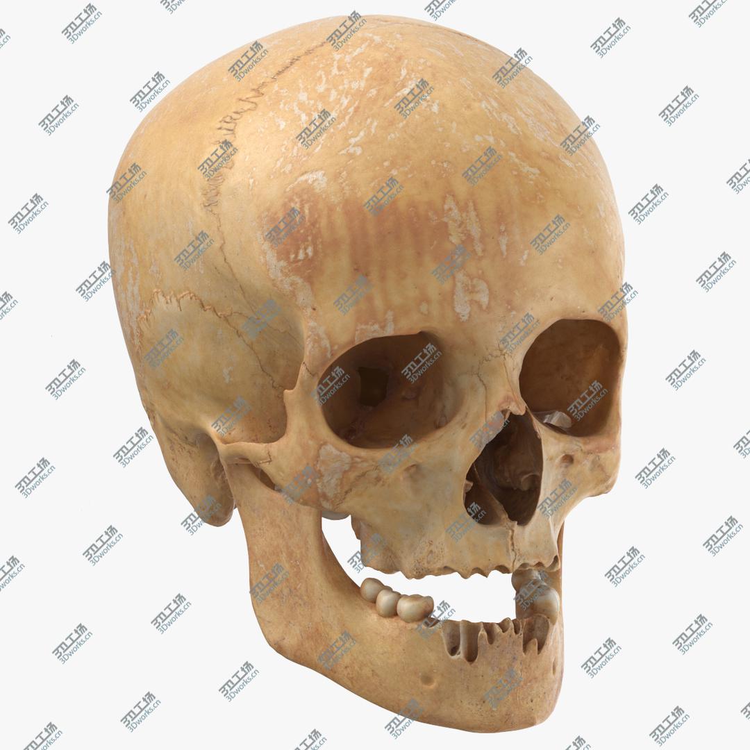 images/goods_img/2021040164/3D Real Human Female Skull With Jaw Damaged 02 model/1.jpg